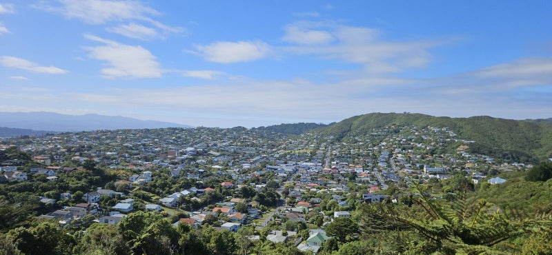 Image 3 of 11
