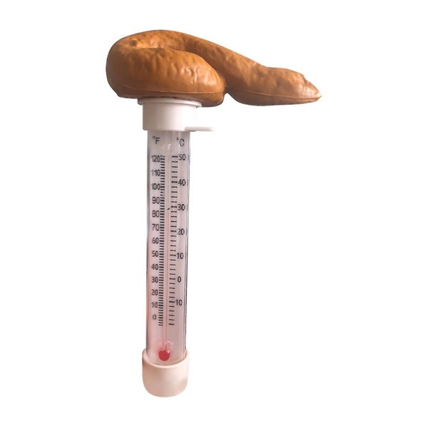 Floating Thermometer Prank Temperature Gauge Poop Shaped Water Thermometer Carousel 1