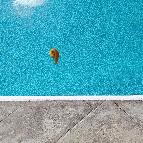 Floating Thermometer Prank Temperature Gauge Poop Shaped Water Thermometer Carousel 4