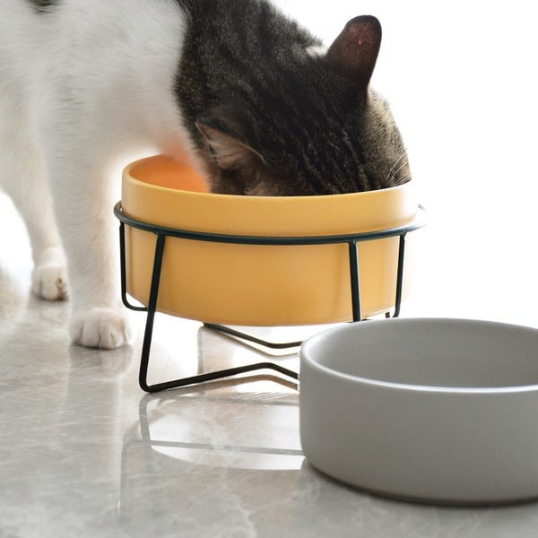 850ml Pet Bowl Feeder Ceramic Pet Bowl Feeder adorable Feeder Water Feeder Carousel 2