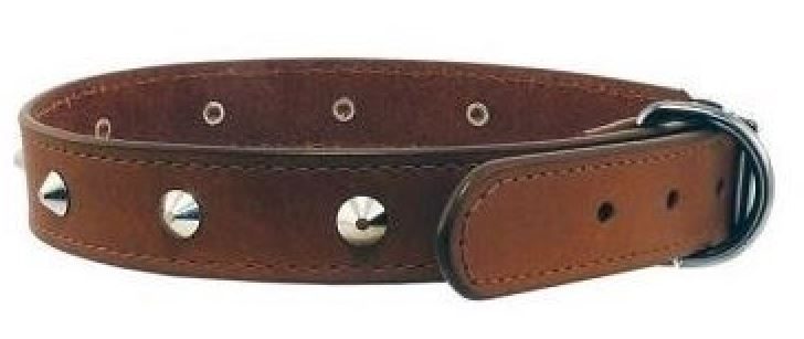 DELUXE LEATHER DOG COLLAR STUDS MEDIUM 45CM COGNAC Carousel 1