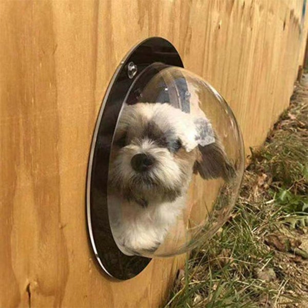 Dog Fence Window Carousel 1
