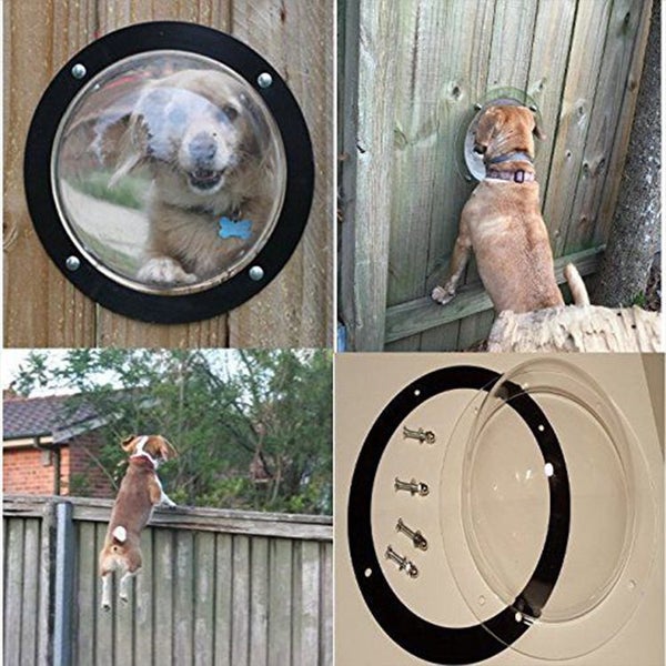 Dog Fence Window Carousel 2