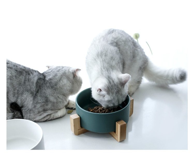 850ml Pet Bowl Feeder Ceramic Pet Bowl Feeder adorable Feeder Water Feeder Carousel 1