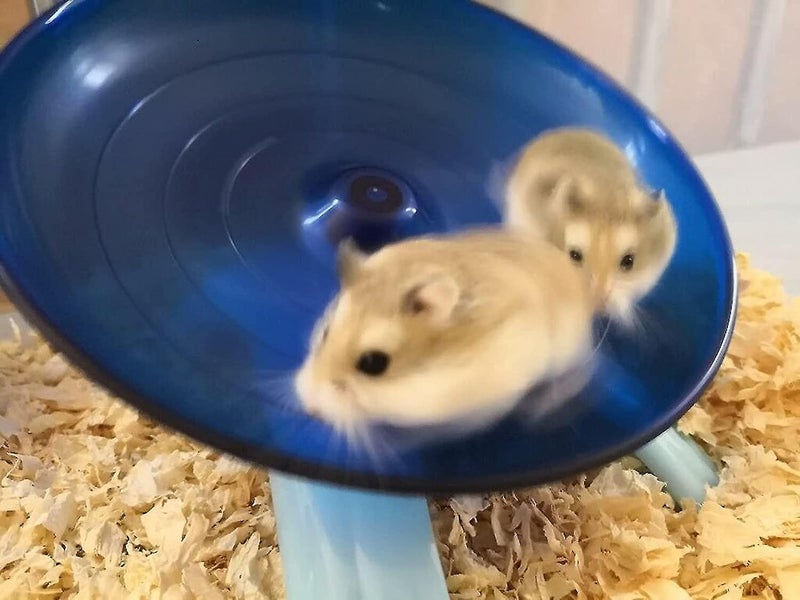 Hamster Flying Saucer Running Ex ercise Wheel Hamster Ex ercise Wheel For Gerb Carousel 5