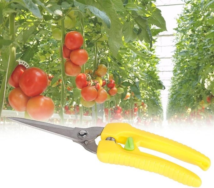 Garden Scissors, Secateurs, Gardening Scissors Scissors Fruit Flower Garden Bon Carousel 2