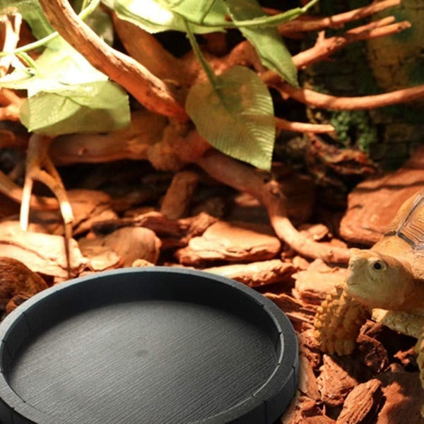 Reptile Feeder Reptile Bowl Plastic Shallow Dish For Food And Water Feeding D Carousel 2