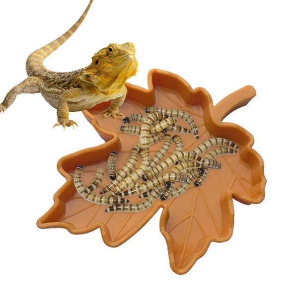 Reptile Plastic Bowl Small Water Dish Reptiles Food Bowl For Lizard Geckoyell Carousel 4