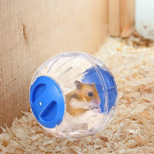 Transparent Cute Animal Hamster Exercise Ball Mini Trot Plastic Toys blue12c Carousel 2