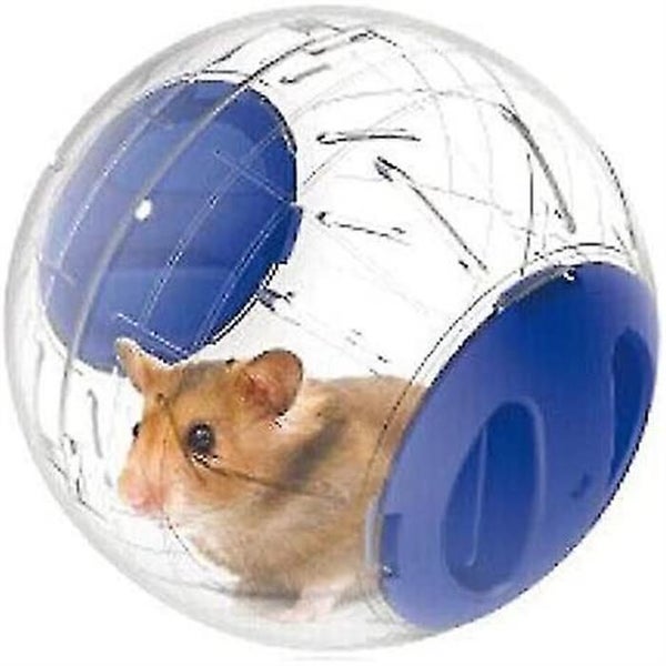Gym Ball Hamster Running Ball For Hamsters And Mice Small Animal Activity Toy Carousel 1
