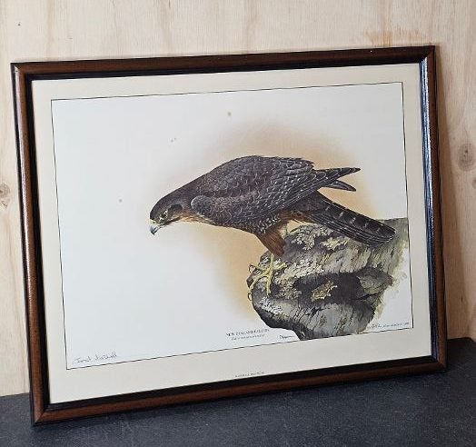 Framed, Signed, Ltd Edition Print. NZ Falcon # 244 of 1,000 by Janet Marshall. Carousel 2