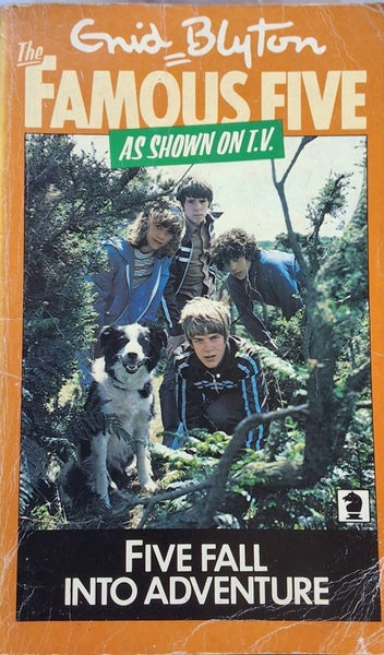 THE FAMOUS 5 BOOK NINE, FIVE FALL INTO ADVENTURE Carousel 1