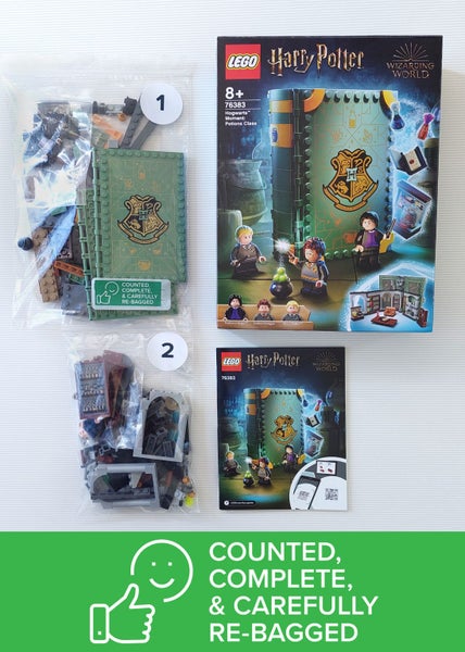 LEGO Harry Potter 76383 Hogwarts Potions Class Carousel 5