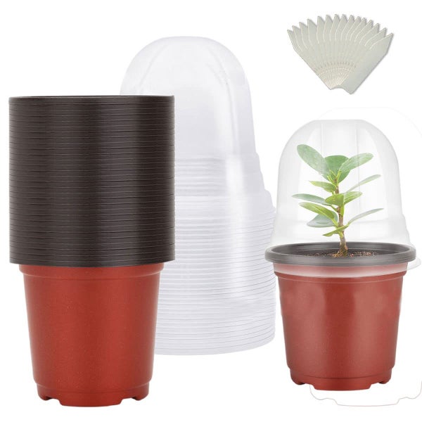 Pack of 30 Plant Nursery Pots with Humidity Dome Carousel 1