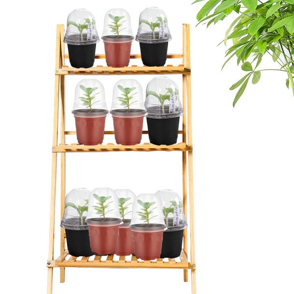 Pack of 30 Plant Nursery Pots with Humidity Dome Carousel 9