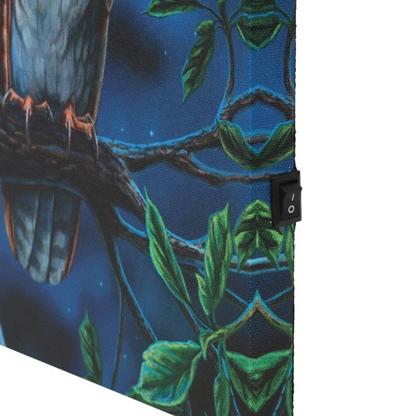 Lisa Parker Fairy Tales Light Up Canvas Framed Carousel 3