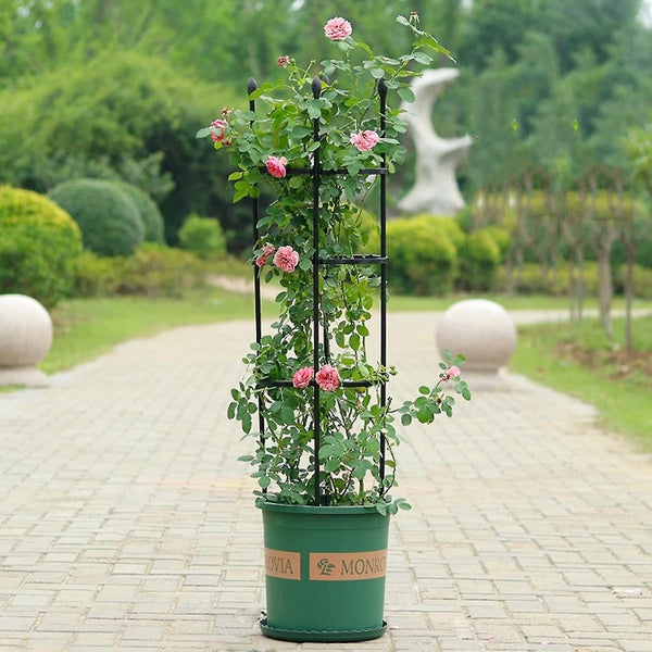 Assembled Flower Pot Support Cage - Round Trellis for Climbing Plants Carousel 2