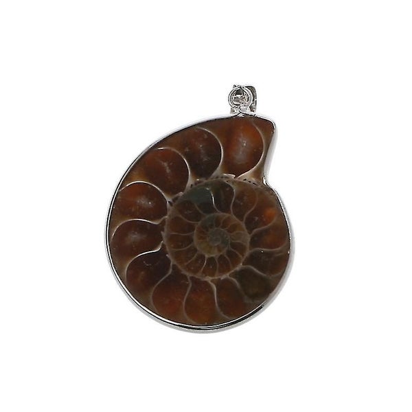 Stone Ammonite Fossils Seashell Snail Pendants Loose Gemstone Beads Diy Carousel 1