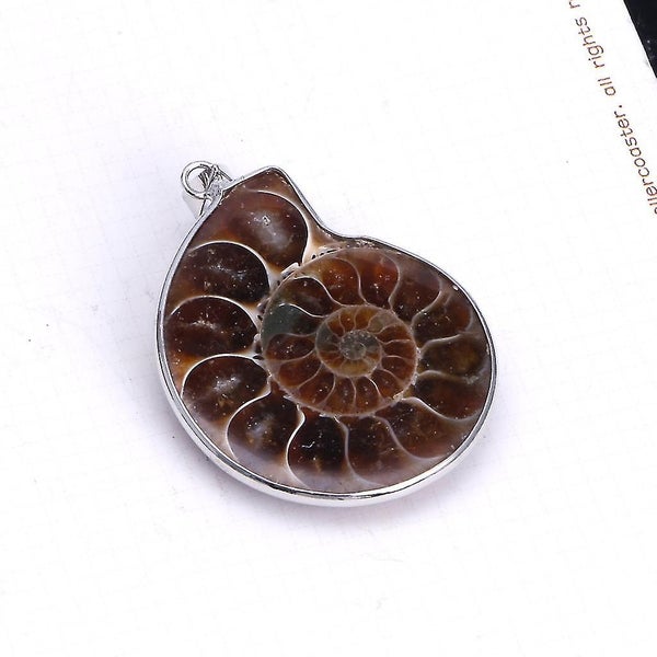 Stone Ammonite Fossils Seashell Snail Pendants Loose Gemstone Beads Diy Carousel 5