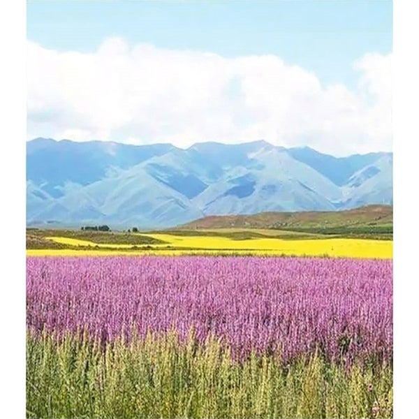 Lavender Field Diamond Painting Carousel 1