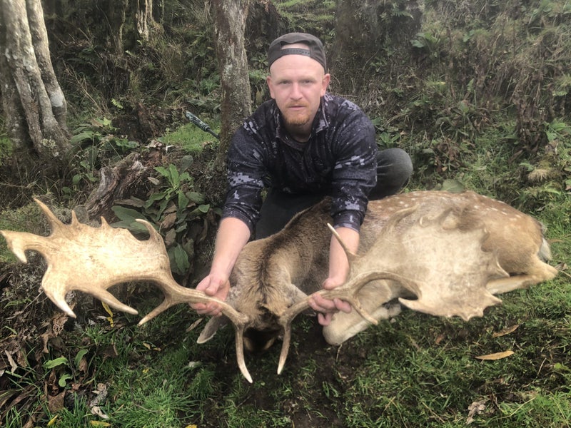 Guided fallow deer hunts Carousel 2