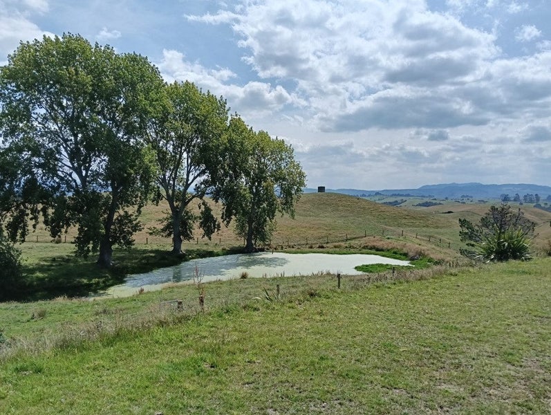 Image 3 of 13