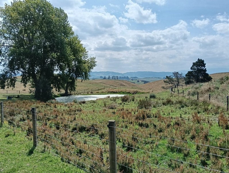 Image 1 of 13