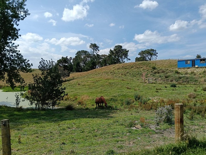 Image 2 of 13