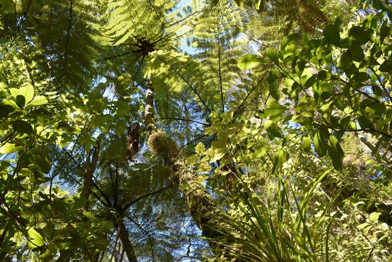 Image 2 of 9
