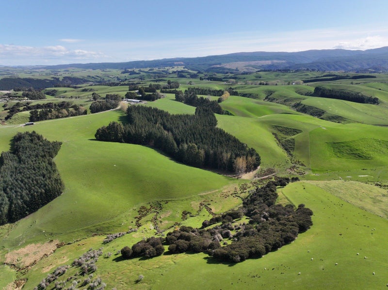 Image 1 of 24