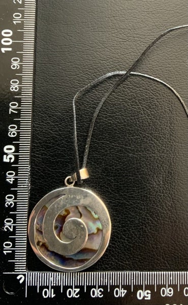 Silver & Paua Pendant Carousel 2