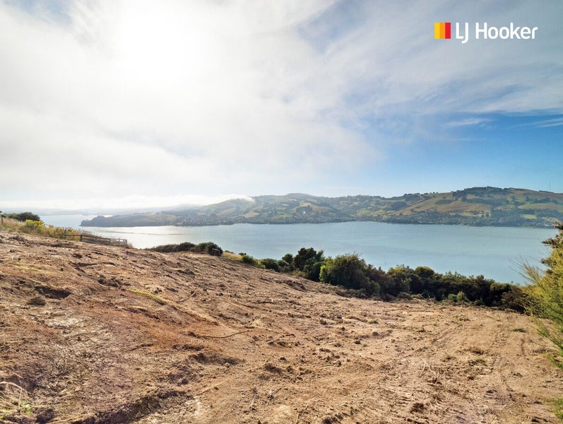 Panoramic Otago Peninsula Views62864770639745113