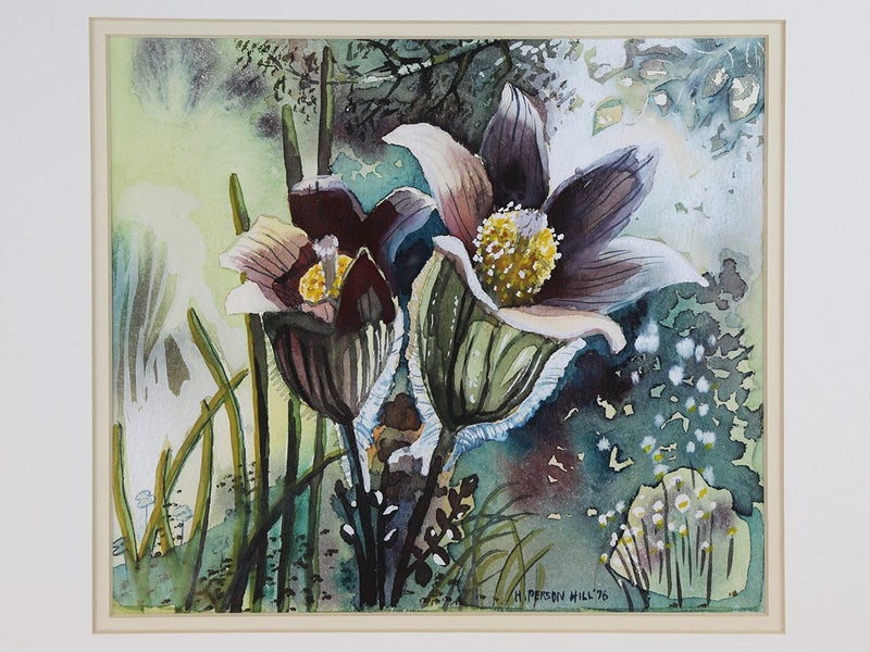 Watercolour Painting by Heather Person Hill, Pulsatilla Flower Carousel 1