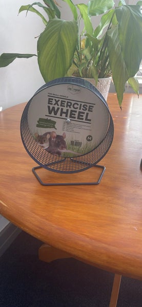 Mouse or rat Exercise wheel medium Carousel 9