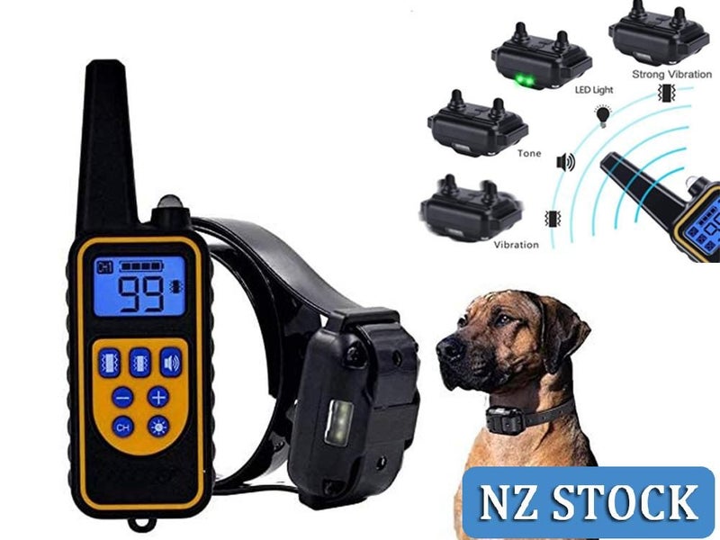 PTN NEW Dog Training Collar Sale Sale Sale Carousel 1