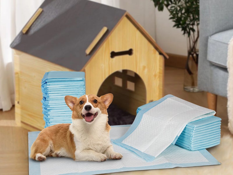 Dog Training Pads Carousel 1