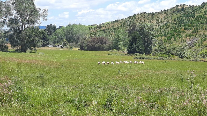 Image 1 of 21
