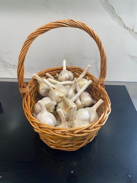 Elephant Garlic- Organically grown in Waikato Carousel 1