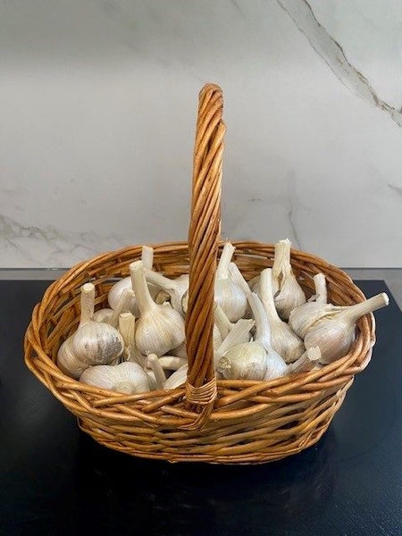 Elephant Garlic- Organically grown in Waikato Carousel 2