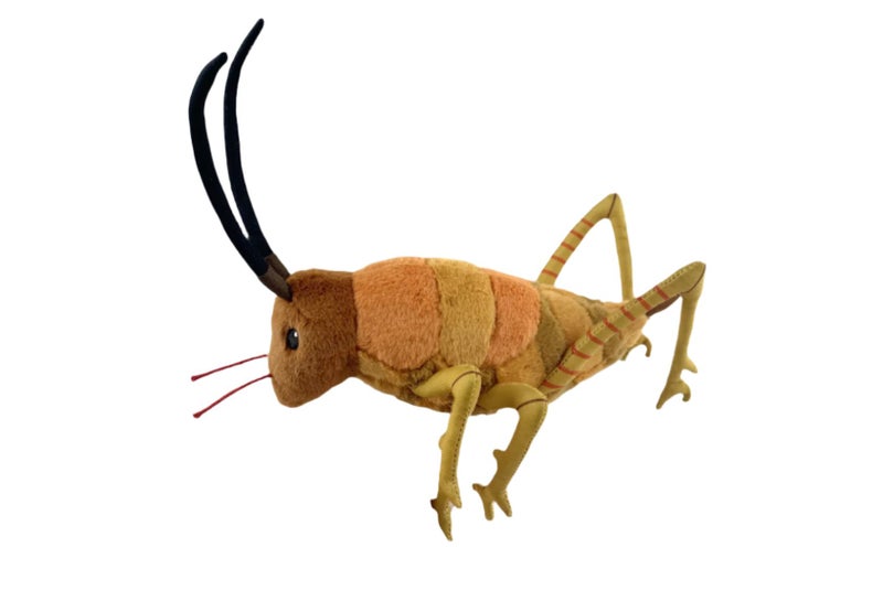 Wiremu the Weta Carousel 1