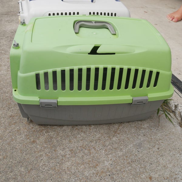 Green Cat Cage Carousel 2