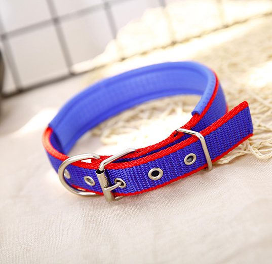Dog Collar Comfortable Dog Collar High Quality Small size from 26cm to 36cm Carousel 2
