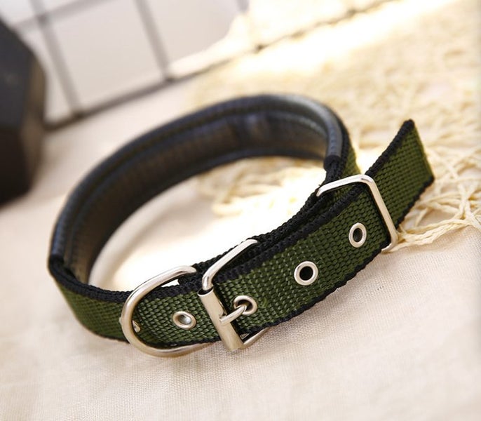 Dog Collar Comfortable Dog Collar High Quality Small size from 26cm to 36cm Carousel 9