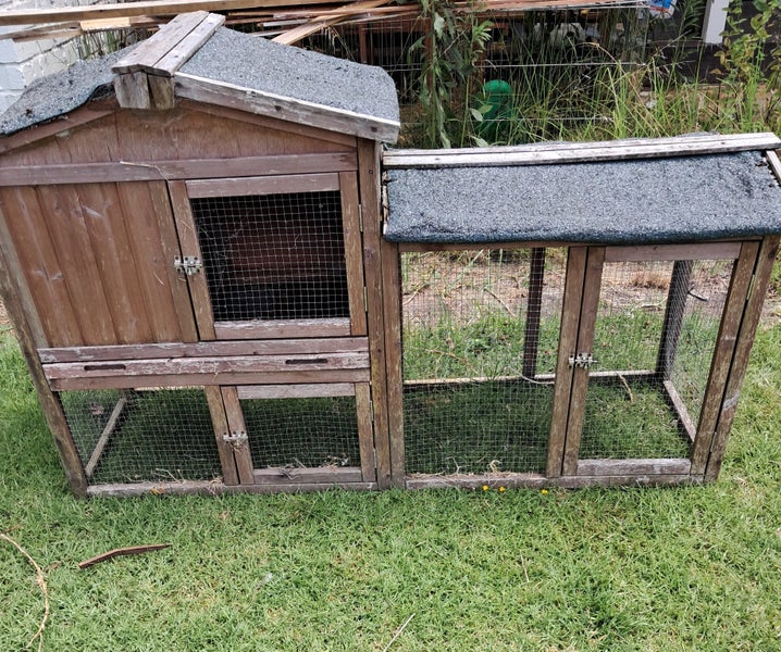 Animal cages Carousel 1