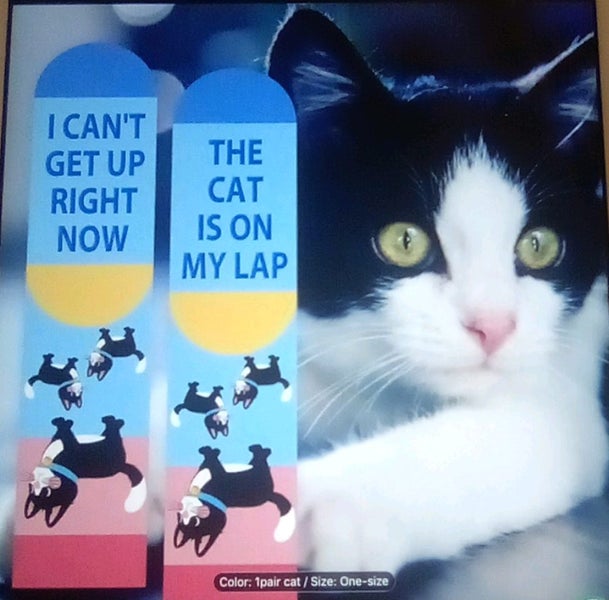 THE CATTAGE - Cute Funky Cat Unisex Novelty Socks Add Colour & Fun To Your Feet Carousel 1