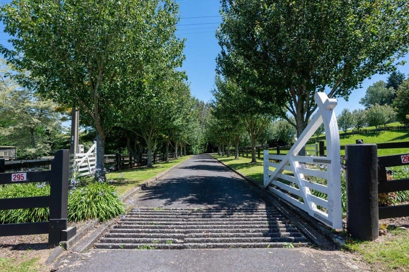 Image 2 of 20