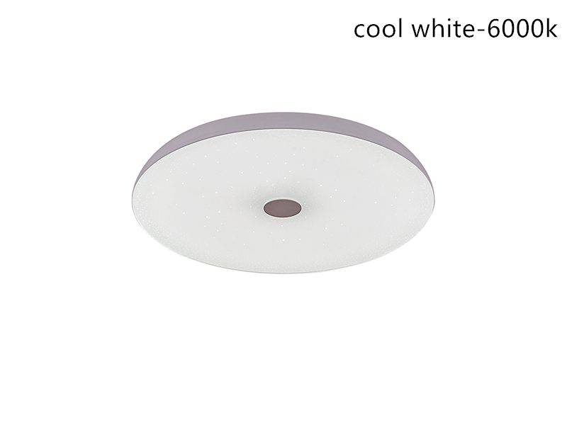 FREE SHIPPING, C109-Bluetooth Music LED Ceiling Light Carousel 2