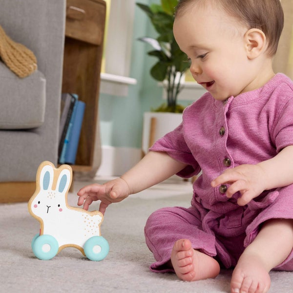 Fisher-Price: Wood Push Along Bunny Carousel 4