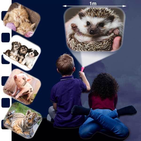 Brainstorm Toys: Torch & Projector - Cute & Cuddly Carousel 3
