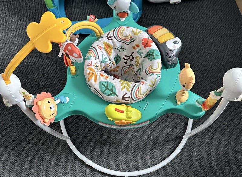 Fisher Price Whimsical Baby Bouncer Carousel 1